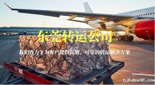 东莞转运公司-让你感受赛车的极限